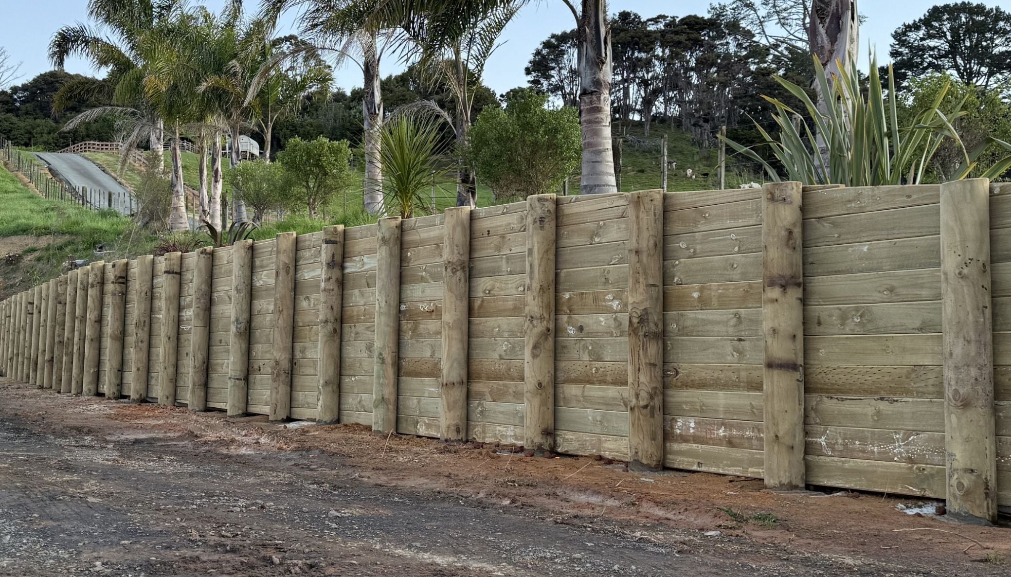 Timber sleeper retaining wall below a palm-planted garden